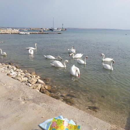New Kosljun Apartment Short Walk To Beach Exterior foto